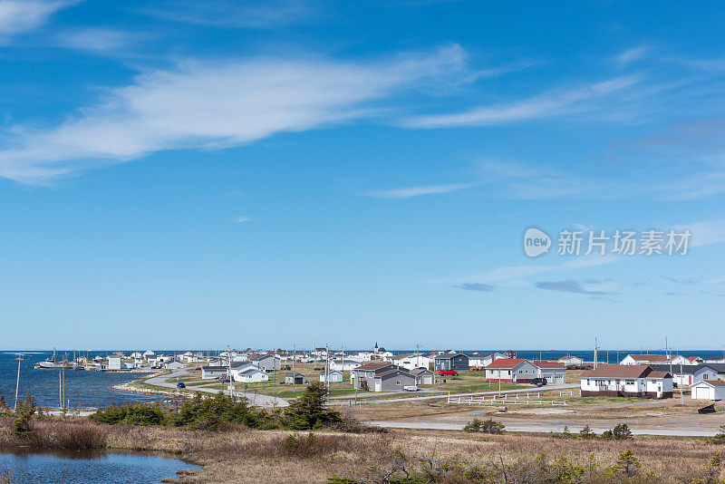 加拿大纽芬兰和拉布拉多省花湾的草本岛、板岛和花岛