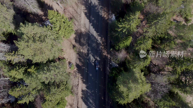 从无人机上看到的森林道路。汽车在路上行驶。