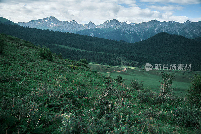 夏季山脊的高角度视图