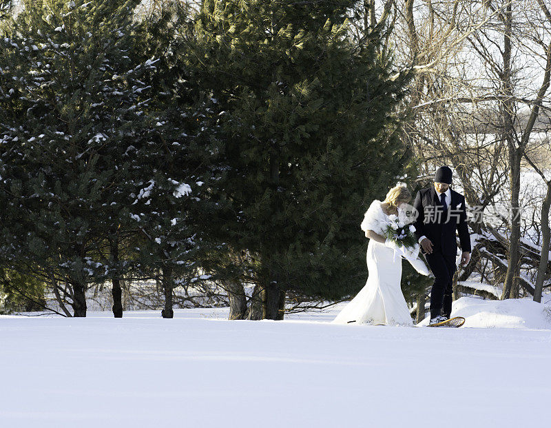 新婚夫妇走过雪景