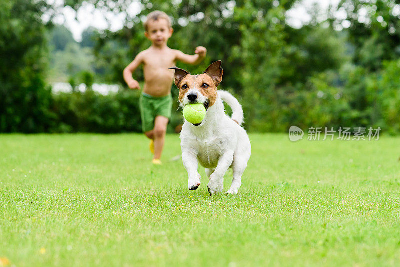 狗与球跑从孩子玩追游戏