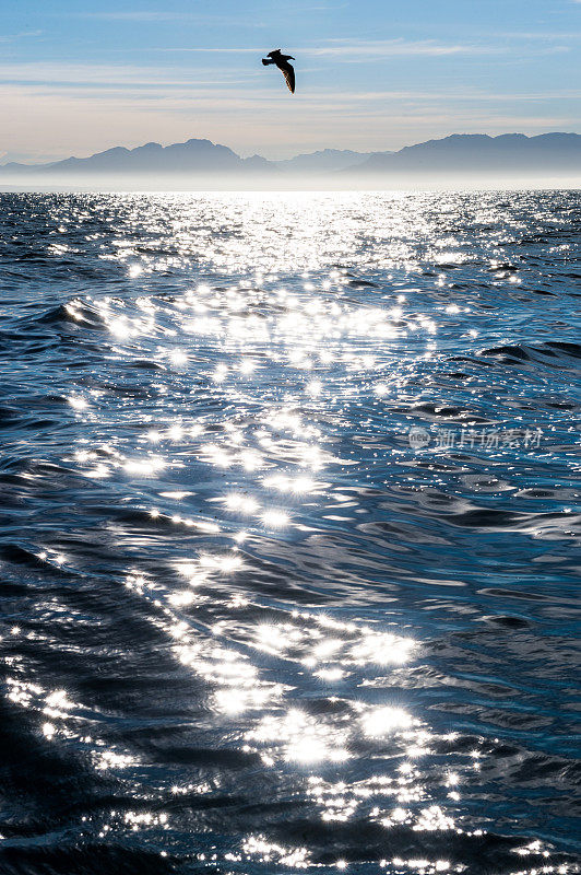 阳光反射在海面上。