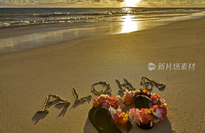 热带岛屿海滩阿罗哈在沙子与拖鞋