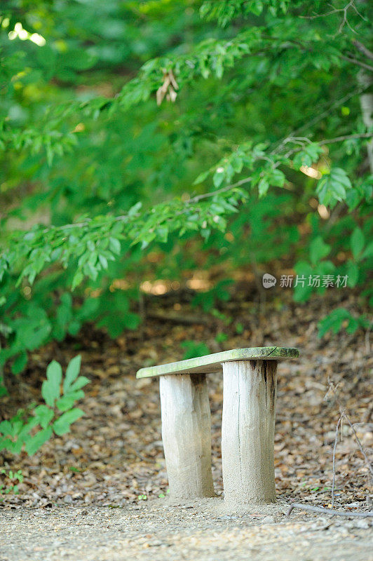 林中的小木凳