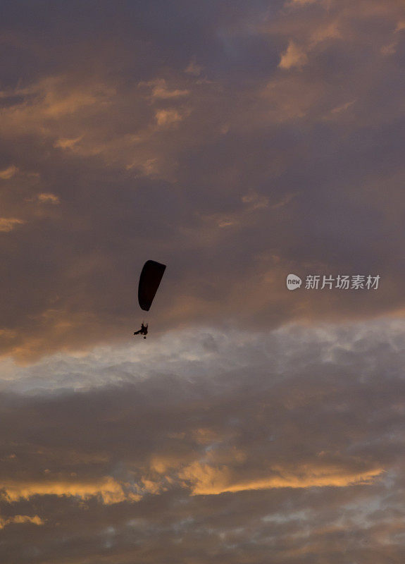 飞向夕阳