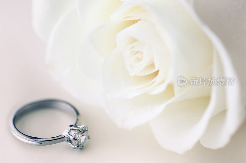订婚玫瑰和戒指