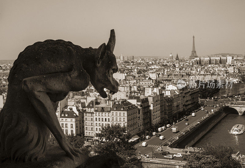 俯瞰法国巴黎的滴水嘴兽