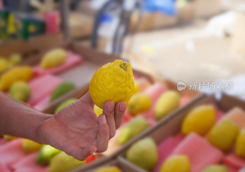 手握Etrog(香橼)