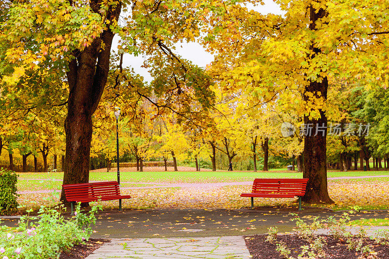 奥斯陆弗罗格纳公园的秋色