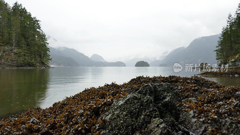 西海岸的海岸线