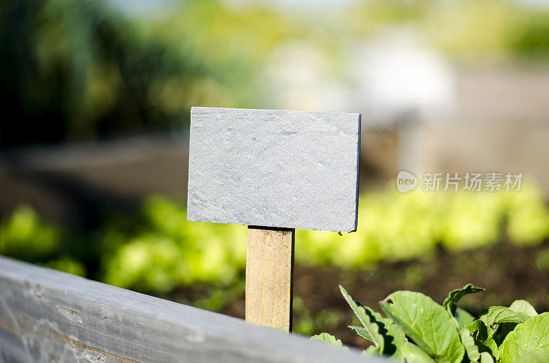 城市花园和农业在夏季的城市