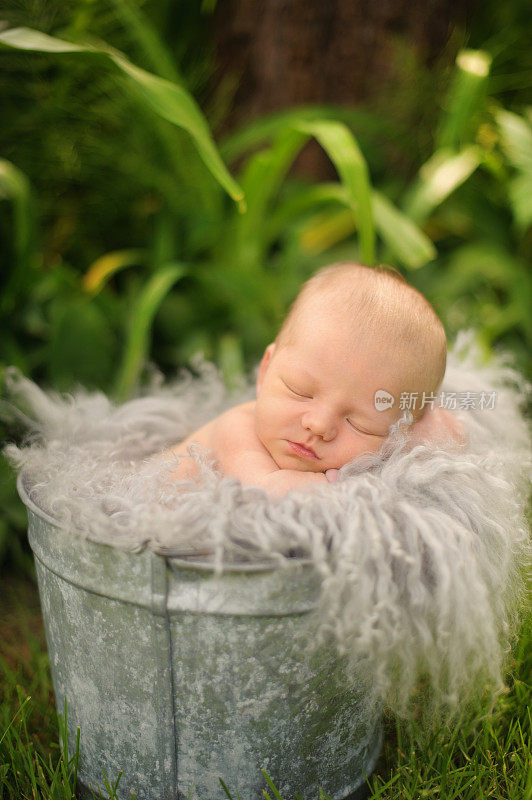 新生儿睡在桶外