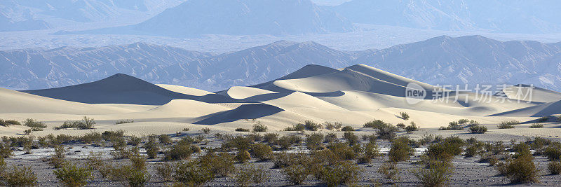 死亡谷国家公园:牧豆树沙丘