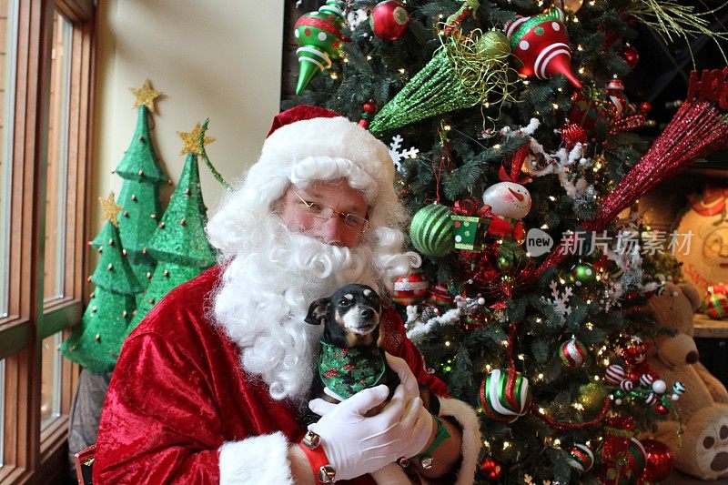 圣诞老人和小狗