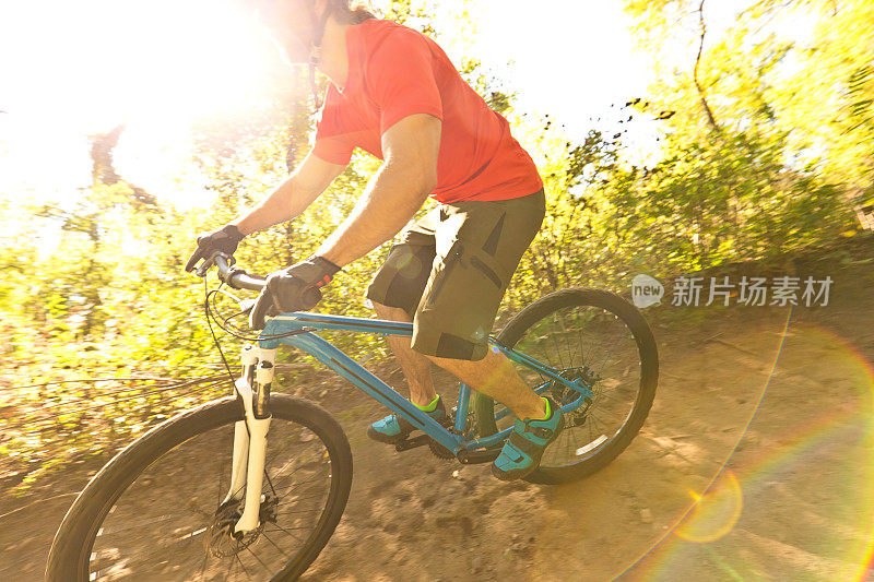 山地自行车在森林自行车道