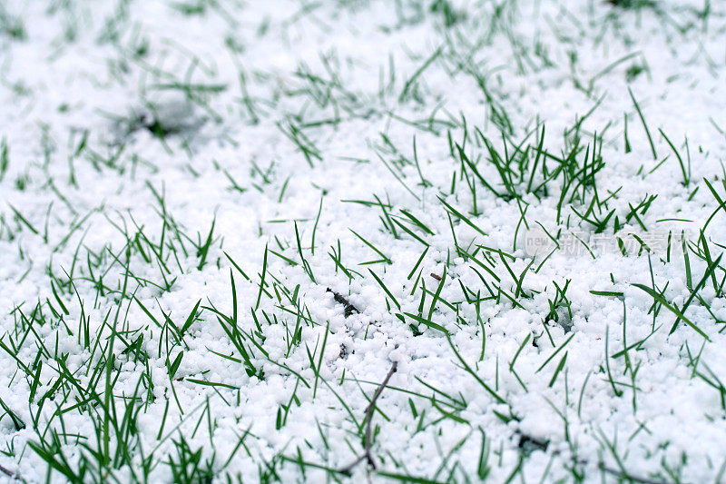 冰雹在草
