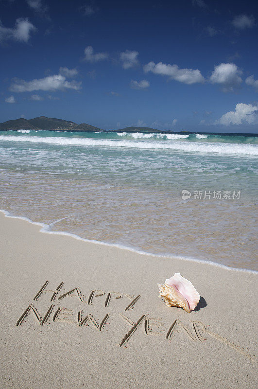 热带沙滩上的海螺壳新年快乐