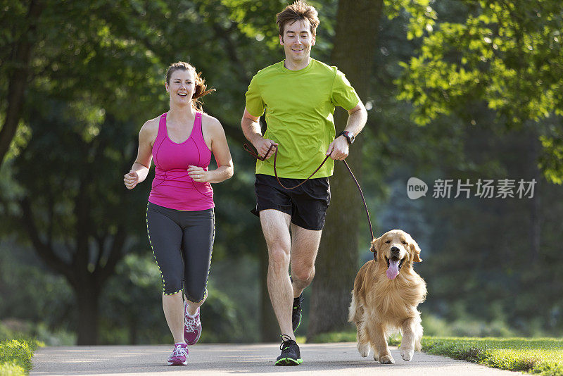 金毛猎犬，男人和女人在人行道上慢跑。