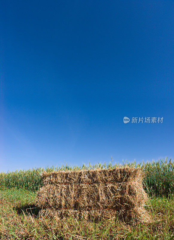 干草保释，作物和天空