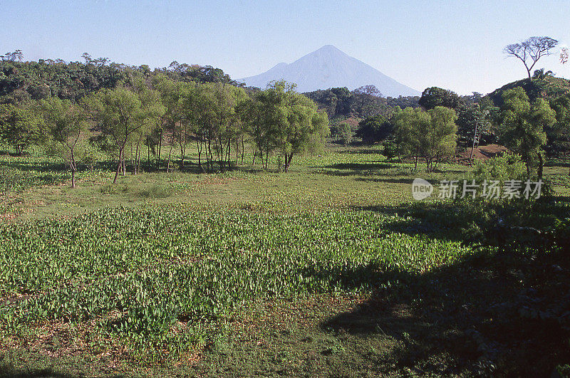 火山阿瓜阿卡特南戈太平洋干旱森林Esquintla中美洲危地马拉