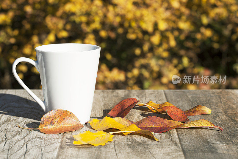 一杯浓茶，秋日黄叶