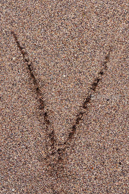 V字母在沙子里