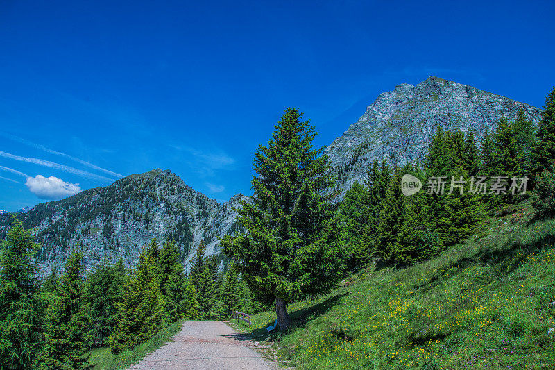 山间小路