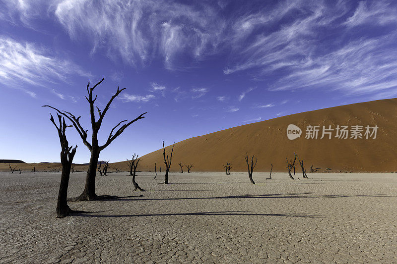 Deadvlei、纳米比亚