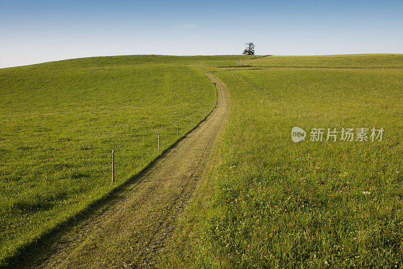 草地上的单车道