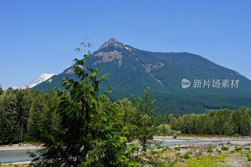 雷尼尔山的顶峰