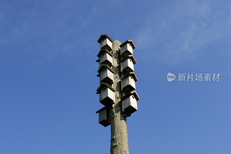 鸟屋空!