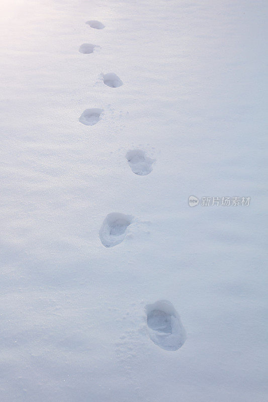 冬天的雪的脚步