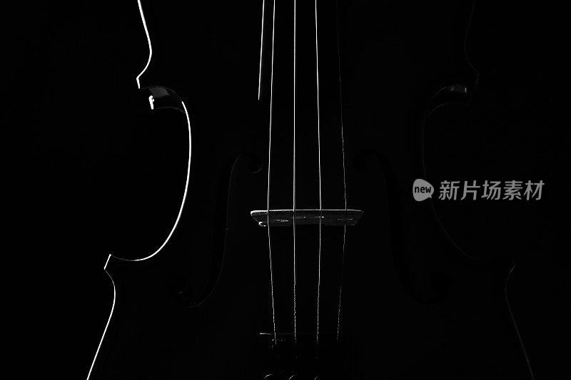 古典乐器小提琴的特写。弦乐器小提琴孤立在黑色背景与拷贝空间。