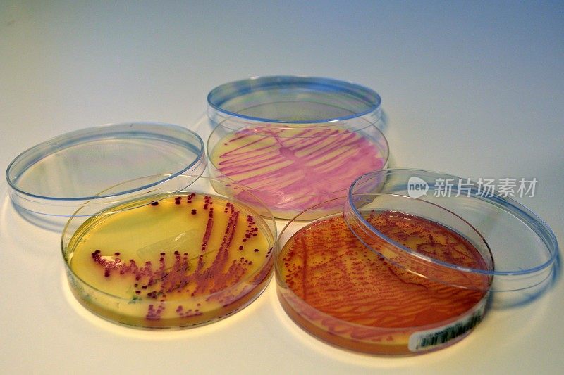 抗生素耐药性超级细菌