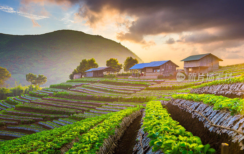 泰国北部的山景，日出和薄雾