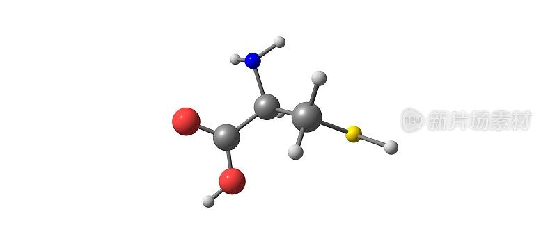半胱氨酸分子结构孤立于白色