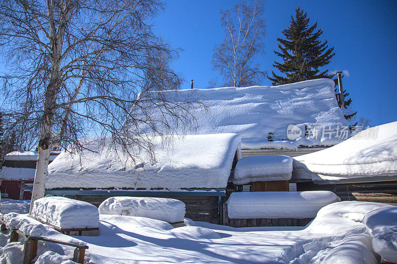 雪景,雪,枯树,小木屋