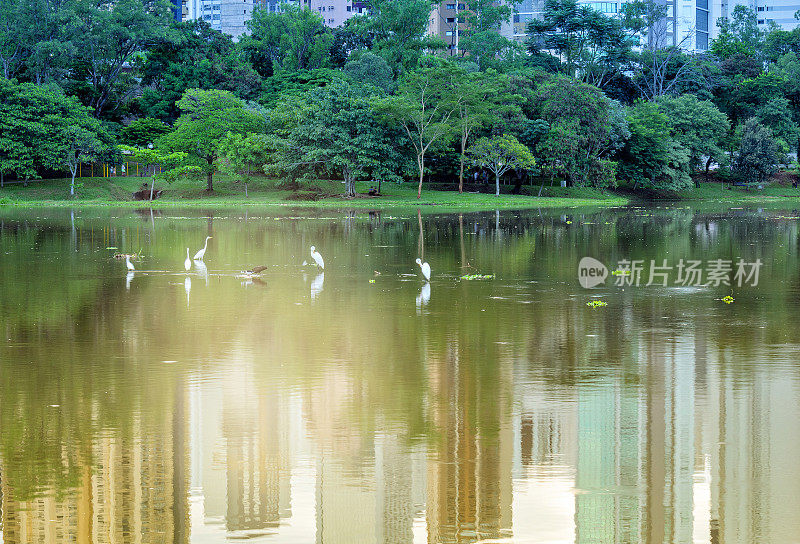 市中心美丽的湖。