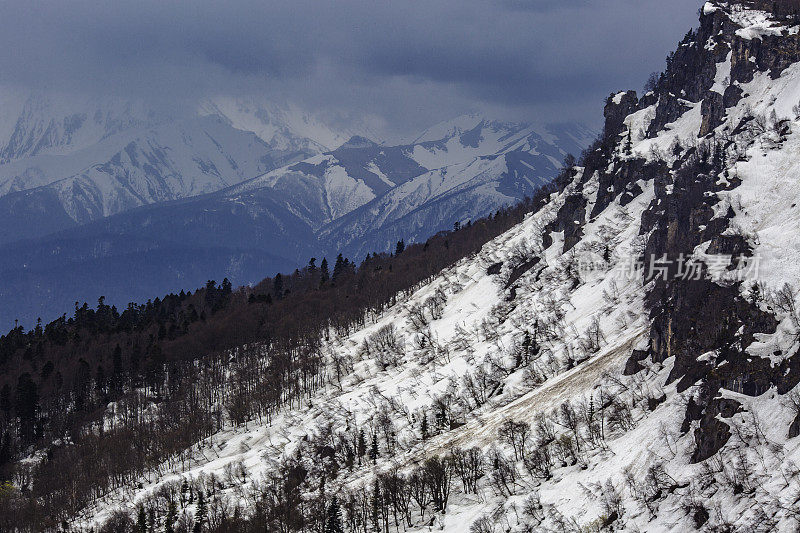 雪山高原。美丽的野生动物。从拉戈-纳基保护区的蛇形山脉山顶上观看，西高加索。