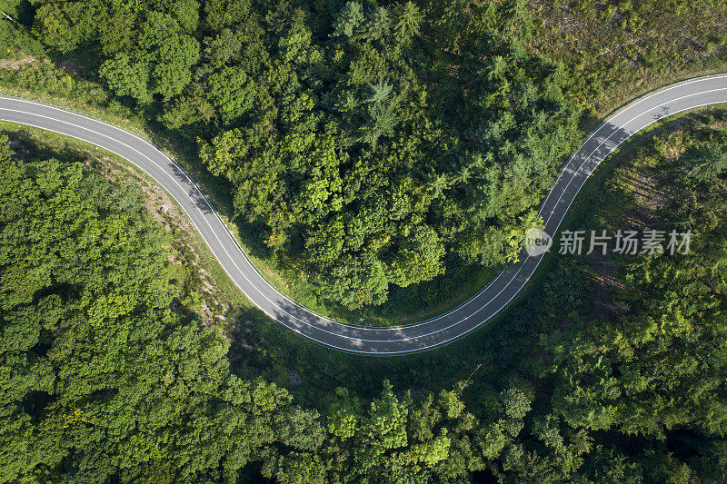 森林鸟瞰图中的道路曲线