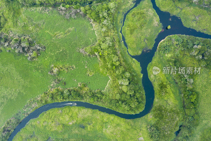 在婆罗洲加里曼丹的河流和雨林与传统船