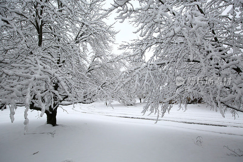 冬天的雪