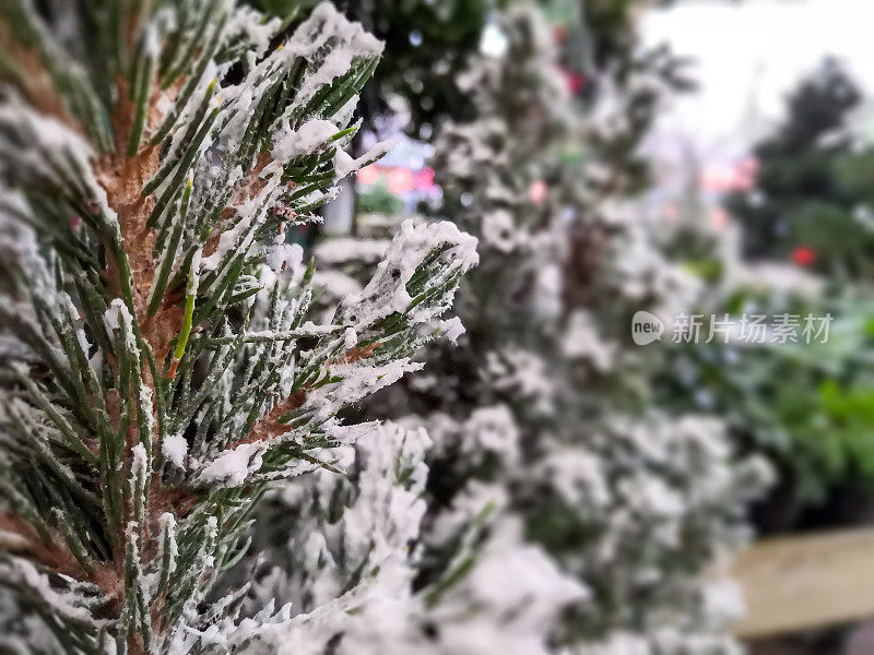 圣诞树上的假雪