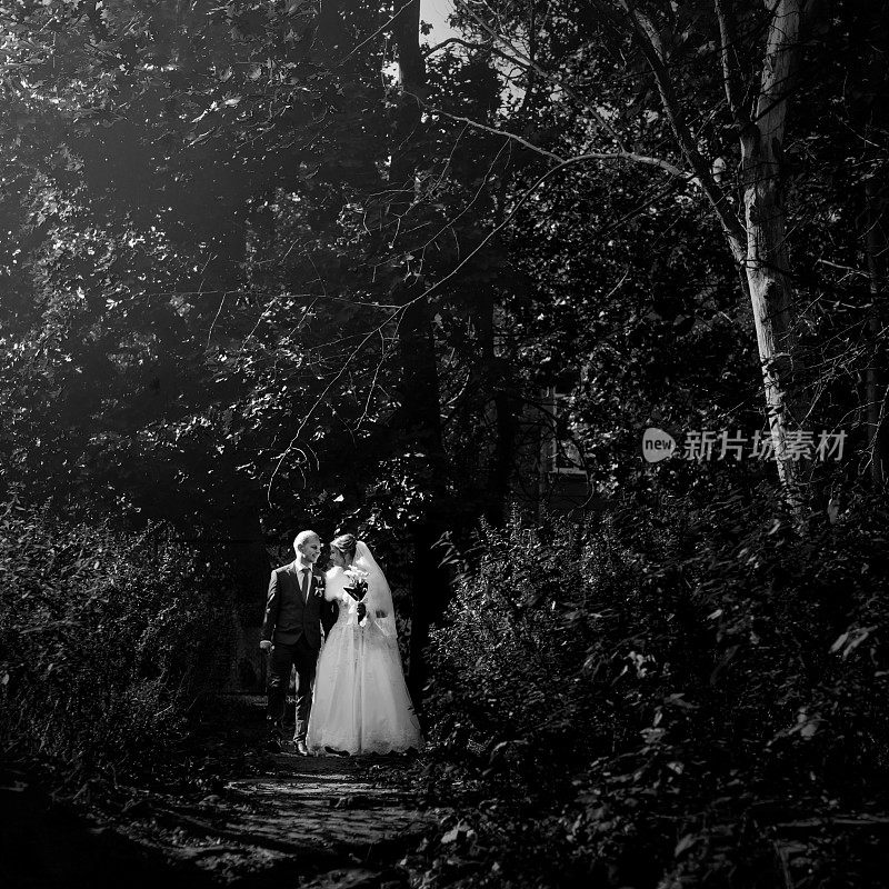 幸福美丽的新娘和时尚的新郎手牵手漫步在阳光明媚的森林公园，黑白相间