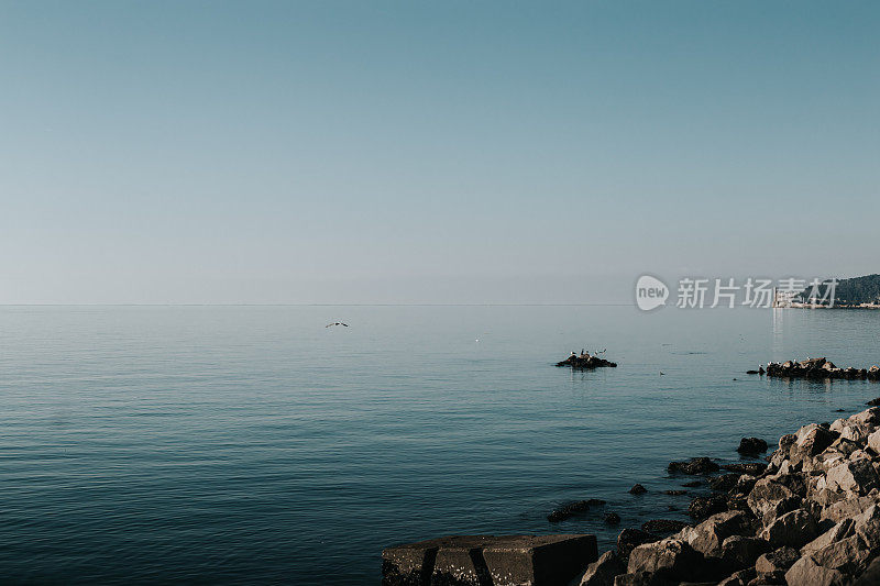 宁静的海边景色，平静的水面，海鸥在岩石上