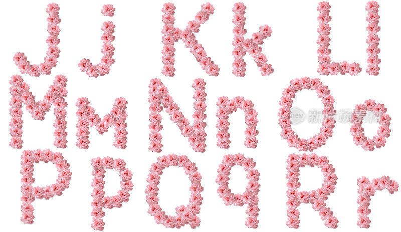 英文字母来自粉红色的玫瑰花，字母J,K,L,M,N,O,P,Q,R。