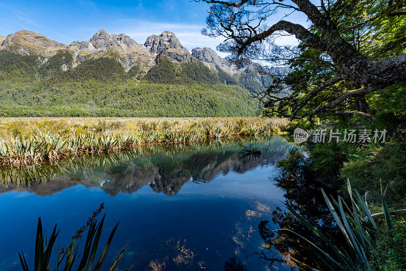 镜湖美景的峡湾国家公园(特阿瑙)，米尔福德湾，新西兰。