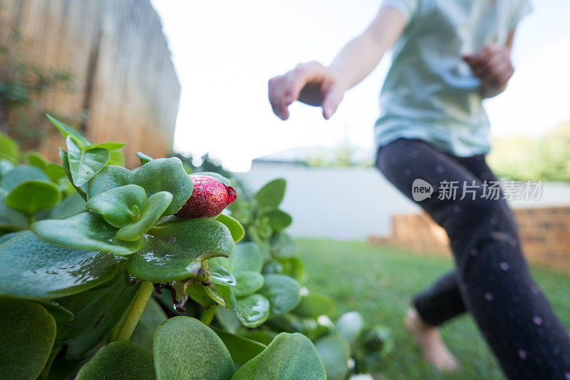 小女孩在自家花园里寻找复活节彩蛋