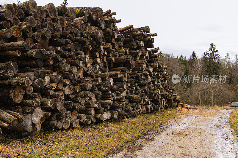 砍伐森林的过程砍伐树木在欧盟地区，腐败和生态灾难的概念，喜怒无常的天气一天