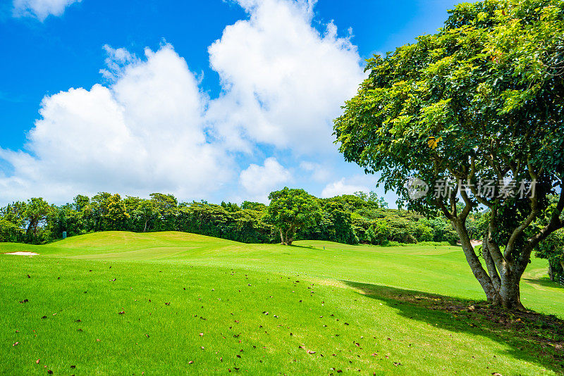 望着绿意滚滚的风景